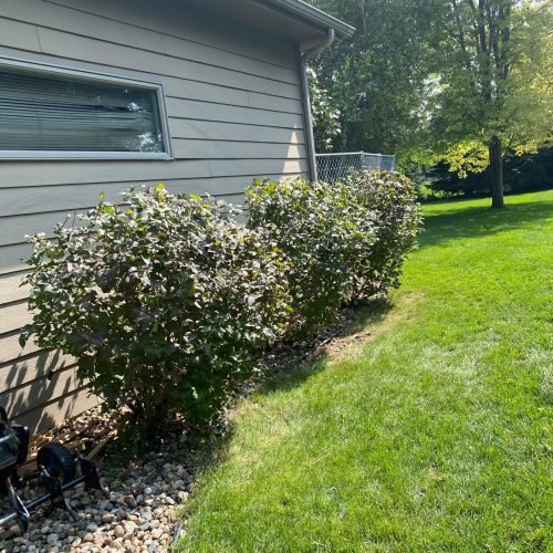 WhatsApp Image 2025-07-14 at 9.06.21 PM (1)