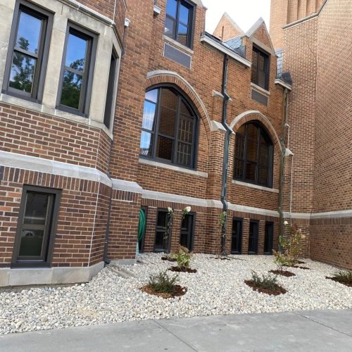 WhatsApp Image 2025-07-14 at 9.06.23 PM (1)