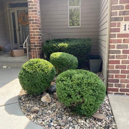 WhatsApp Image 2025-07-14 at 9.06.23 PM