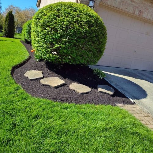 WhatsApp Image 2025-07-14 at 9.06.26 PM