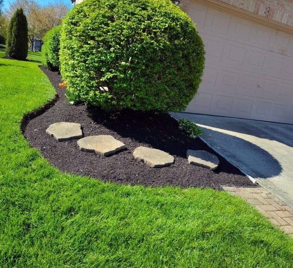 WhatsApp Image 2025-07-14 at 9.06.26 PM