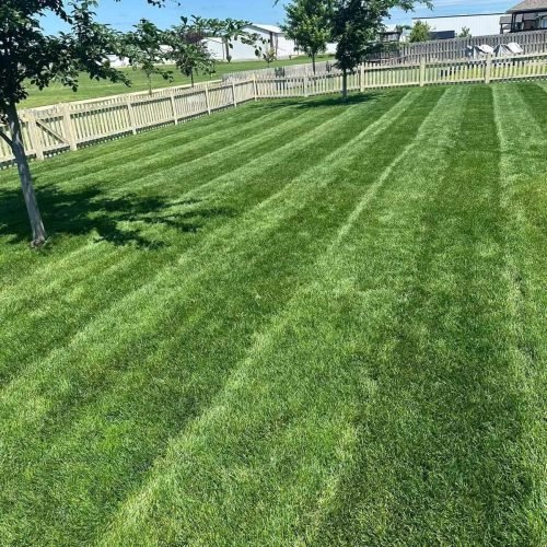 WhatsApp Image 2025-07-14 at 9.06.27 PM (1)