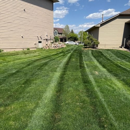 WhatsApp Image 2025-07-14 at 9.06.35 PM (2)