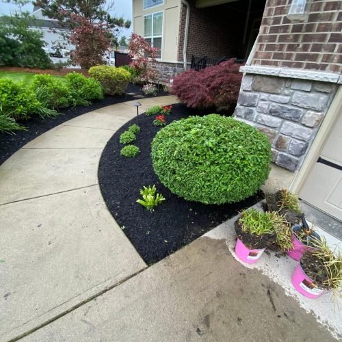 WhatsApp Image 2025-07-14 at 9.06.41 PM (1)